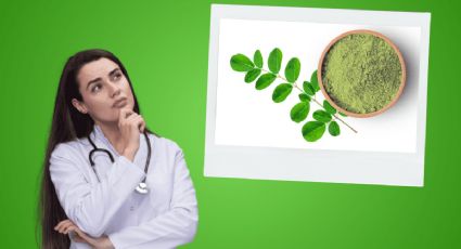 Moringa: los beneficios y contraindicaciones del árbol milagroso