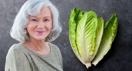 Este es el mejor truco de la abuela para recuperar la frescura de las hojas de lechuga