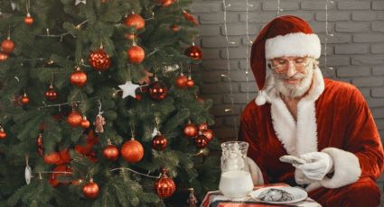 ¿Cómo cuidar un árbol de Navidad en casa? 3 consejos para que tu pino natural NO se seque