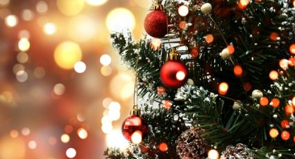 Estas son las 5 cosas que no deben faltar en tu árbol de navidad para atraer la abundancia