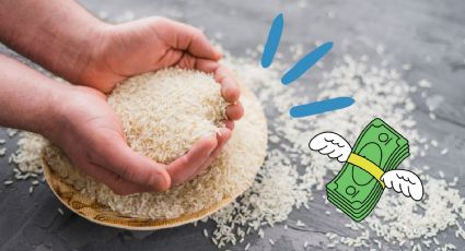 Aquí es donde debes colocar ARROZ para alejar las DEUDAS, según el Feng Shui