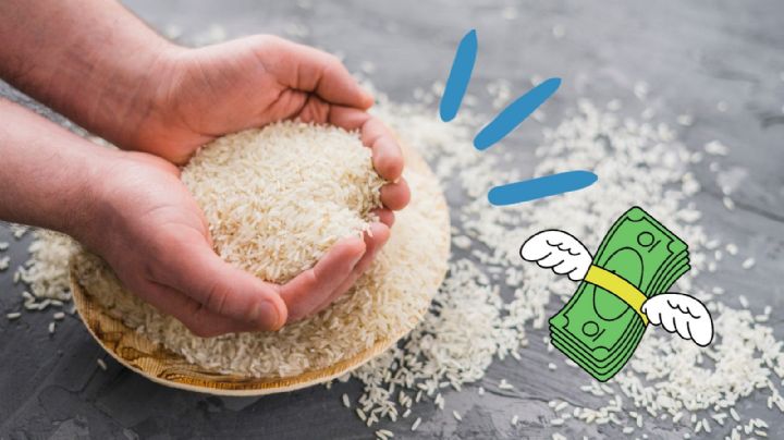 Aquí es donde debes colocar ARROZ para alejar las DEUDAS, según el Feng Shui