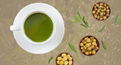 Té de olivo: Descubre los beneficios de la bebida saludable de la dieta mediterránea