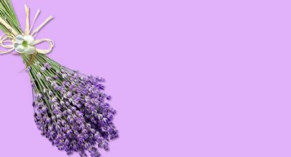 Reproduce la lavanda dentro de tu casa con este sencillo truco