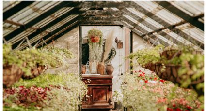 Estimula la floración de tus plantas con este trucazo de jardinería