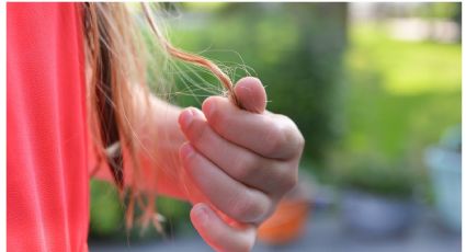 Haz que tu cabello crezca más rápido con este tip de belleza coreano