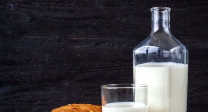 Snack saludable: prepara estas galletas de avena y zanahoria para un postre rico y sano