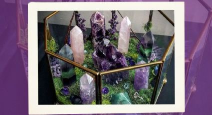 Crea tu propio terrario energético con cuarzos y cristales para atraer energías positivas