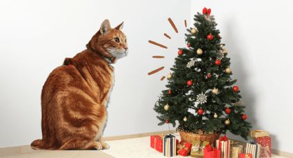 ¡Manos a la obra! Evita que tu gato destruya tu árbol de navidad con unos trucos especiales