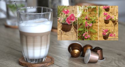 Así puedes reciclar las cápsulas de café para hacer un jardín vertical en casa