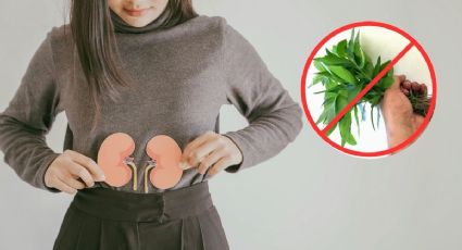 ¡Alto ahí! Estas son las plantas medicinales que pueden estar afectando tus riñones