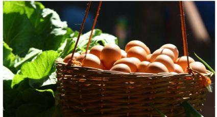 ¿Es saludable desayunar huevo todos los días? Esto dicen los expertos