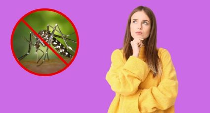 Repelente casero: Mezcla estos dos ingredientes de cocina y elimina los mosquitos de tu casa