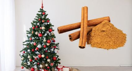 Descubre los beneficios de colocar una rama de canela en el árbol de Navidad