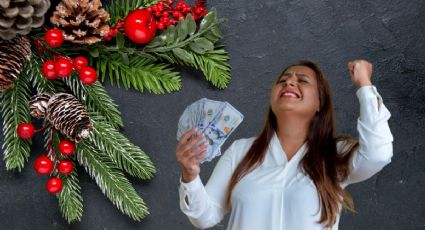 Las plantas de Navidad que atraen la buena suerte, según el Feng Shui