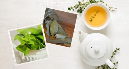 ¿Cuáles son los beneficios de tomar té de laurel y menta?