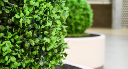 Ideas de plantas artificiales para decorar toda la casa