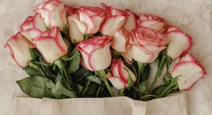 ¿Rojas, blancas o rosas? Este es el significado del color de las rosas en San Valentín