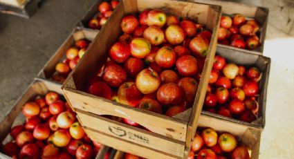 Así puedes reutilizar las cajas de fruta para decorar tu casa