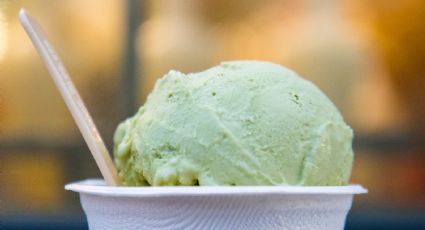 ¡Ya llegó el día del chocolate con menta! Celébralo con este helado de chocomenta