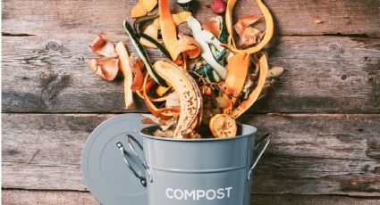 Estos son los ingredientes que no debes incluir al momento de hacer un compost casero