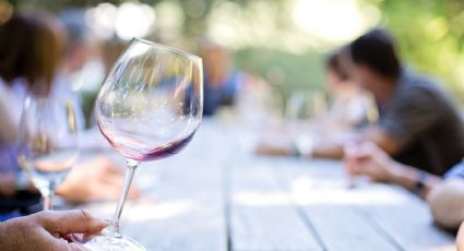 ¿Cómo catar un vino? 5 consejos para hacerlo como un experto