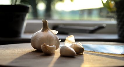 Huerto en casa: ¿Cómo plantar ajo en una maceta?