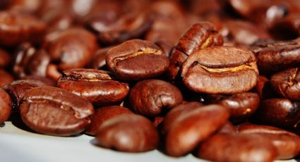 ¿A qué edad deberías dejar el café para mejorar tu salud?