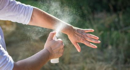 Repelente casero contra mosquitos hecho con cáscara de naranja