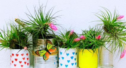 ¿Cómo reciclar latas de aluminio para el jardín y la oficina?