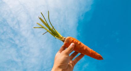 Recupera las zanahorias viejas y ahorra dinero con este fácil truco de cocina