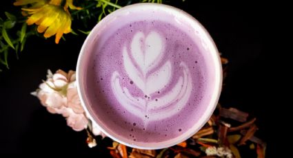 Latte de lavanda: Aprovecha los beneficios de las hierbas aromáticas con esta bebida espumosa y cremosa