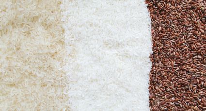 Arroz blanco o arroz integral: ¿Cuál es el mejor para tu salud?