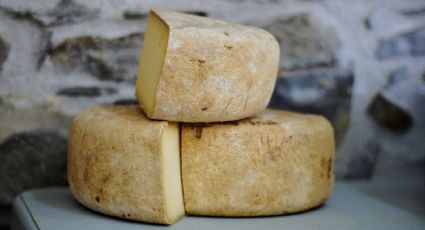 ¿Qué hacer si tu queso tiene hongos? Esto es lo que debes hacer para no arriesgar tu salud