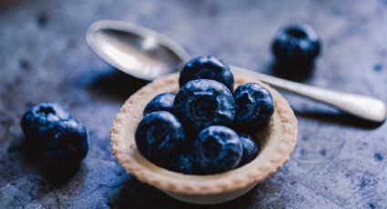 Snack saludable: Prepara bocadillos de mora azul con yogur y chocolate