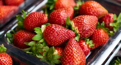 ¿Tus fresas se descomponen rápido? Te explicamos la forma correcta de almacenarlas