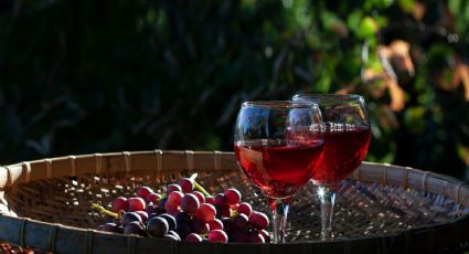 Estos 3 vinos españoles son de los mejores y están a menos de 20 euros