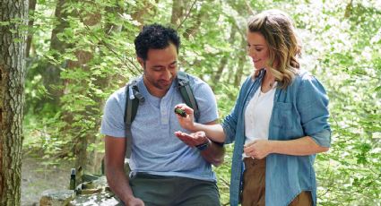 Haz tu propio repelente para mosquitos con aceite de coco y eucalipto