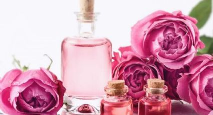 Agua de rosas: ¿Qué beneficios  tiene para la piel y cómo prepararla desde casa?