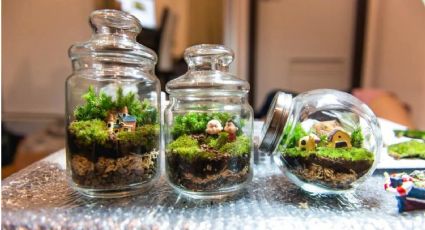 Jardín en miniatura: Estos es todo lo que necesitas saber para tener uno en casa