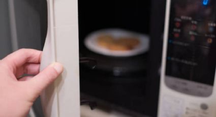 ¿Qué recipientes NO son aptos para meterse al horno de microondas?, toma nota de ellos