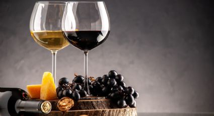 Los mejores vinos por menos de 10 euros que recomienda la OCU