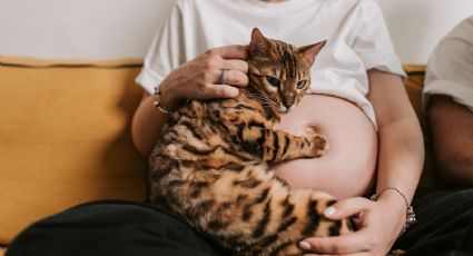 ¿Por qué dan antojos durante el embarazo? Esto dice la ciencia