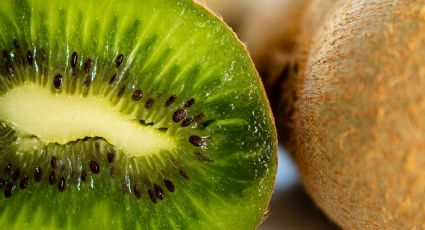 Huerto en casa: Cómo cultivar kiwi desde el hogar y de forma sencilla