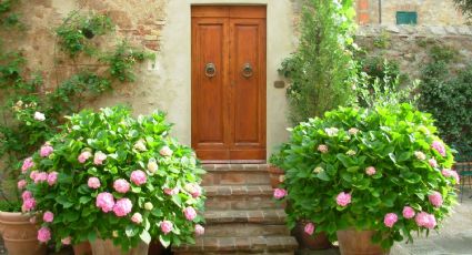 Feng Shui: Los elementos que debes incluir en la puerta de tu casa para atraer la buena suerte