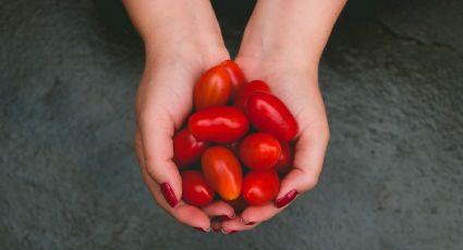 Prepara unos tomates cherry confitados, la receta más fácil para disfrutar en la semana