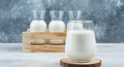 Leche entera o leche sin lactosa: Estos son sus beneficios en la salud