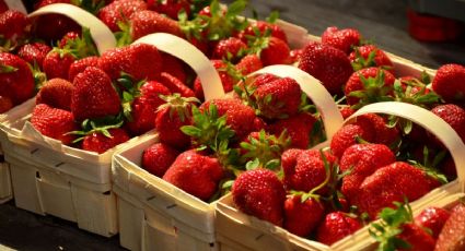 Este es el mejor método para conservar las fresas en buen estado hasta por 3 semanas