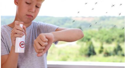 Prepara el mejor repelente natural de canela y clavo y dile adiós a los molestos mosquitos