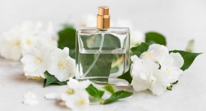 Estos son los mejores perfumes de mujer para oler a limpio y refrescarte en esta época de calor